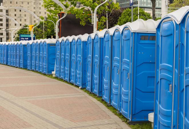 Seasonal porta potty units set up at a Brownsville, Texas venue